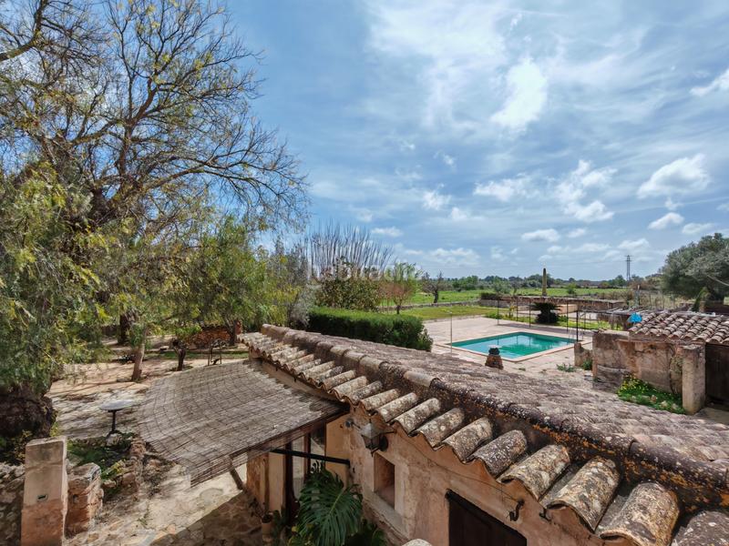 Foto 7a7d19b0-d448-4cdd-9542-44a5e556d036. Terreny residencial a Felanitx poble Felanitx