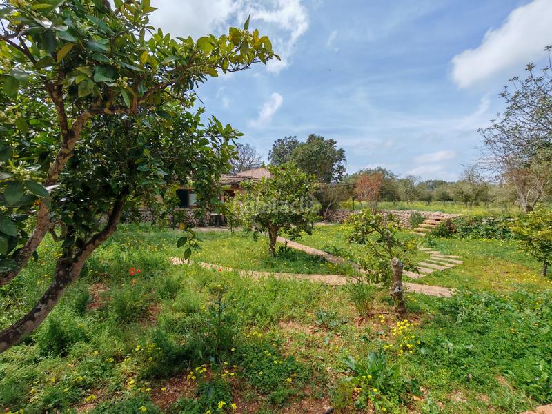 Foto ca269fbc-042a-46f9-b70e-2600a91c5508. Terreny residencial a Felanitx poble Felanitx