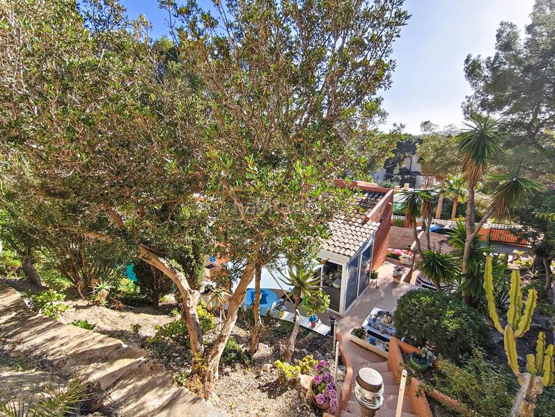 Foto 2d85a09a-bebb-4fbb-9e6a-21598fce00bb. Casa en Costa de la Calma Calvià