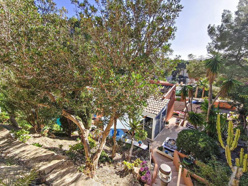 Foto 2d85a09a-bebb-4fbb-9e6a-21598fce00bb. Masia amb piscina a Costa de la Calma Calvià