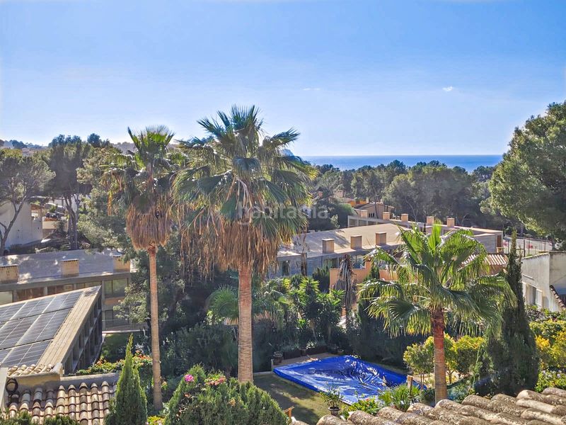 Foto 61774885-e80c-4ff5-9586-34670d2a8ccc. Masia amb piscina a Costa de la Calma Calvià