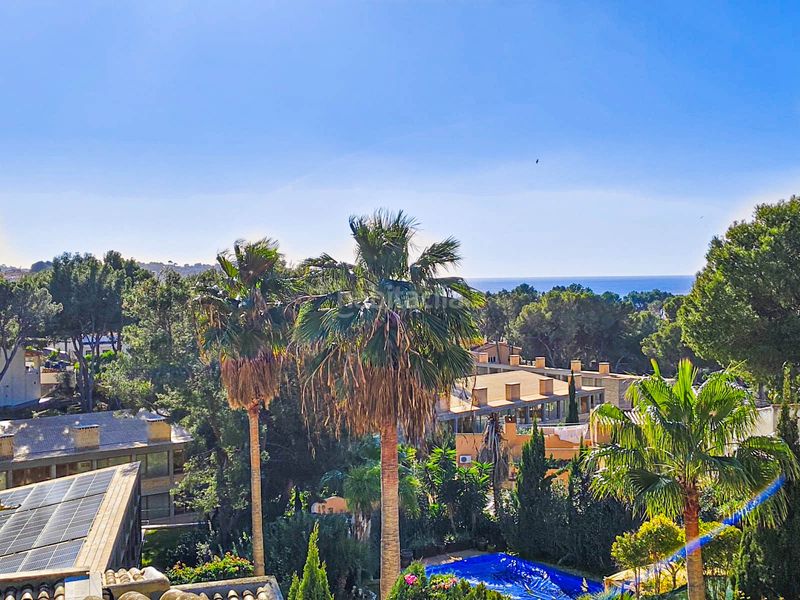 Foto 9f9f30b4-4882-4116-92ca-76f7c0d90544. Masia amb piscina a Costa de la Calma Calvià