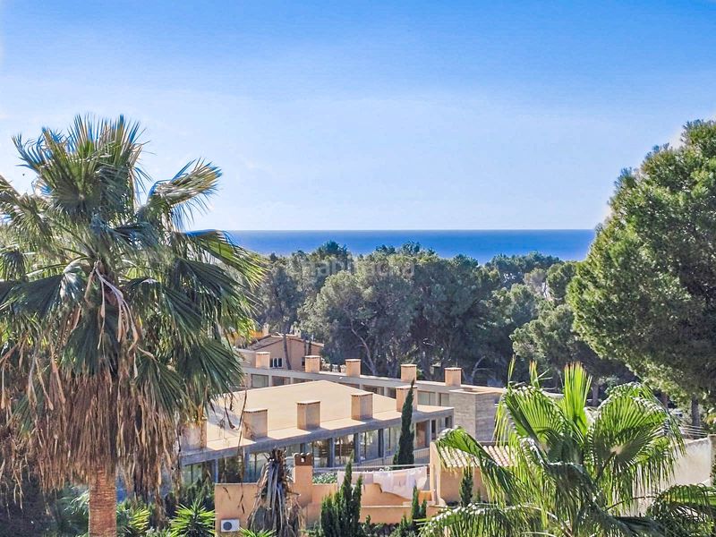 Foto ab5832a0-25b4-491c-82e1-aed607c9f89f. Masia amb piscina a Costa de la Calma Calvià