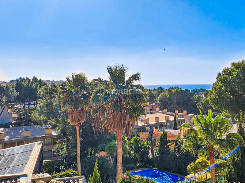 Foto 9f9f30b4-4882-4116-92ca-76f7c0d90544. Maison dans Costa de la Calma Calvià