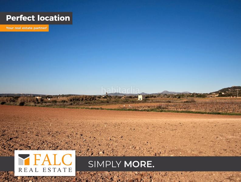 Foto 48970dae-b54f-48bd-a110-dfeec2597a54. Terreno residencial en Manacor centre Manacor