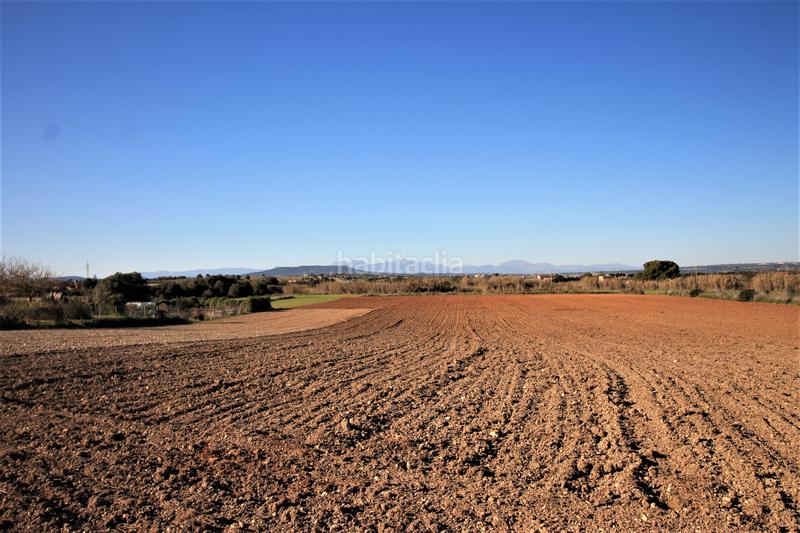 Foto 9bbb2608-6f9a-427b-888c-4fd594c04cd0. Terreno residencial en Manacor centre Manacor