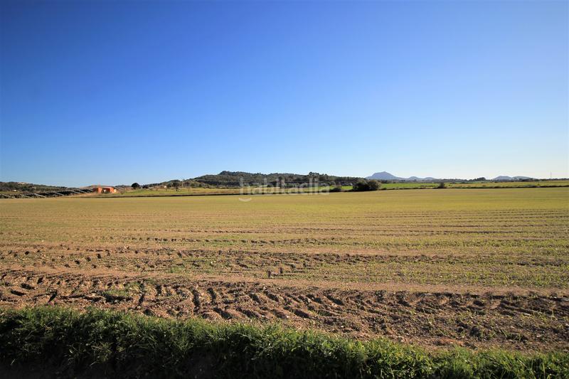 Foto e9864493-424c-4071-980f-368e169d7646. Terreno residencial en Manacor centre Manacor