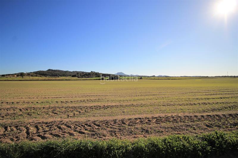 Foto ef547af4-3cd8-4373-8692-47d64bfa0a52. Terreno residencial en Manacor centre Manacor
