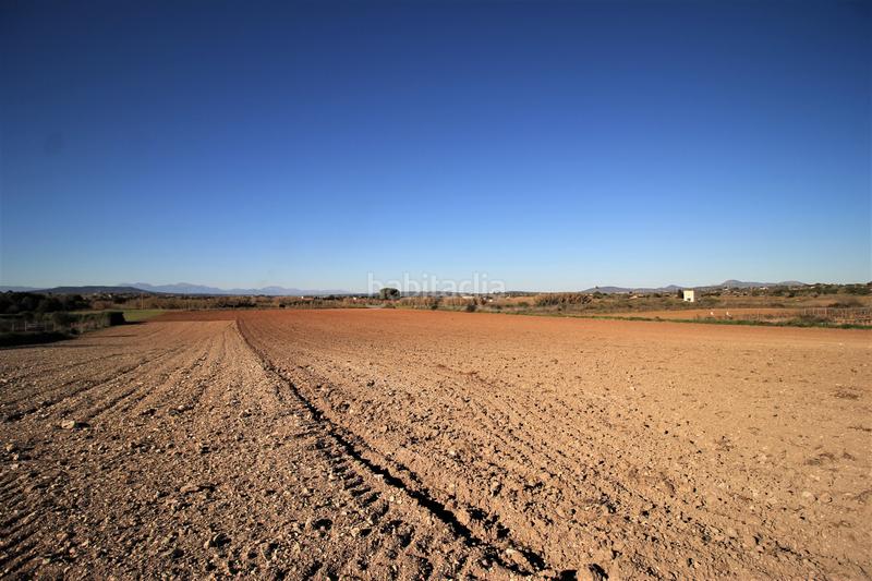 Foto f4e321f1-352d-4edc-ae8a-a3e7927c4745. Terreno residencial en Manacor centre Manacor