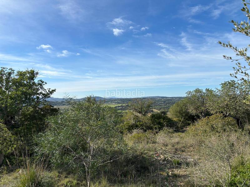 Foto a261f902-9d10-431f-bb20-5a6b995c83fb. Terrain résidentiel dans Sant Llorenç des Cardassar