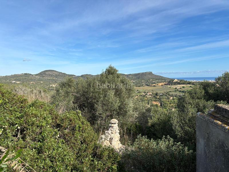 Foto ad3f516d-aae6-45fd-ad03-a6b28460cf8c. Terrain résidentiel dans Sant Llorenç des Cardassar