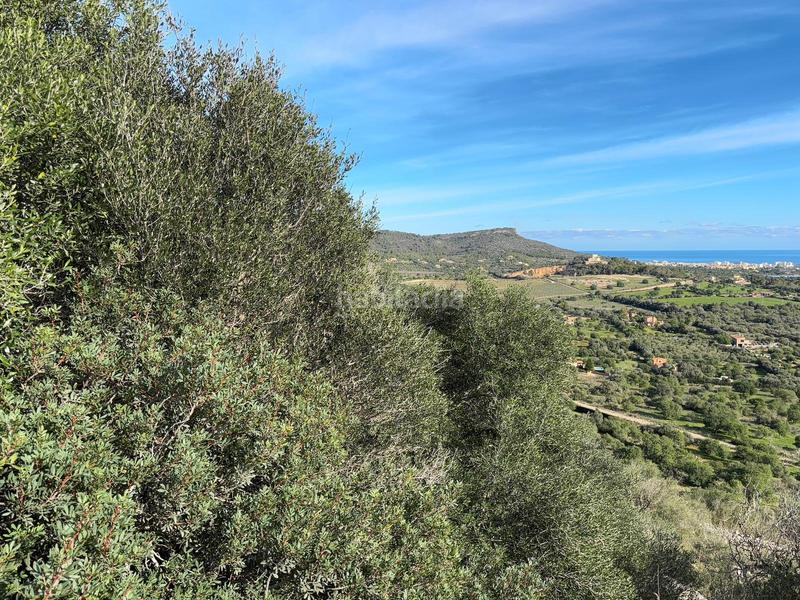 Foto df1608ea-994e-4e06-911b-32760869f3e3. Terrain résidentiel dans Sant Llorenç des Cardassar