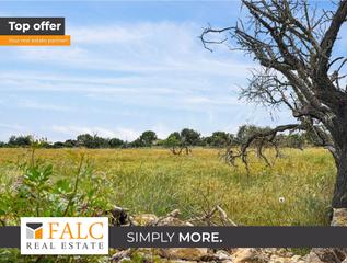 Terreny residencial a Manacor Centre