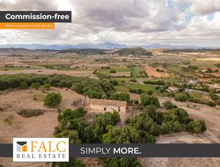 Residential Plot in Sineu