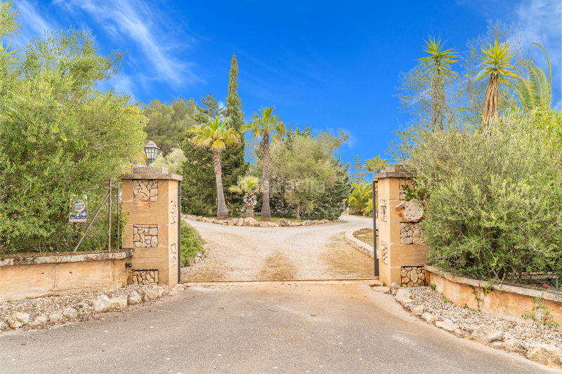 Foto ff1b0016-f2ed-4ec2-b368-a8fc576987c2. Terreny residencial a Manacor centre Manacor