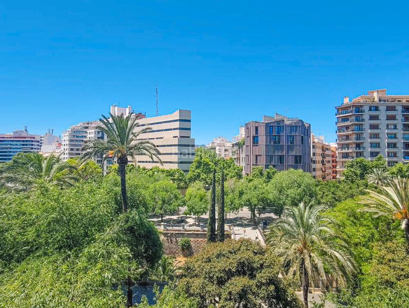 Foto d6ef1cf1-73f1-445a-ba76-1f40549a72c1. Alquiler apartamento en Jaume III Palma de Mallorca