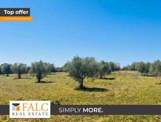 Terreny residencial a Manacor Centre