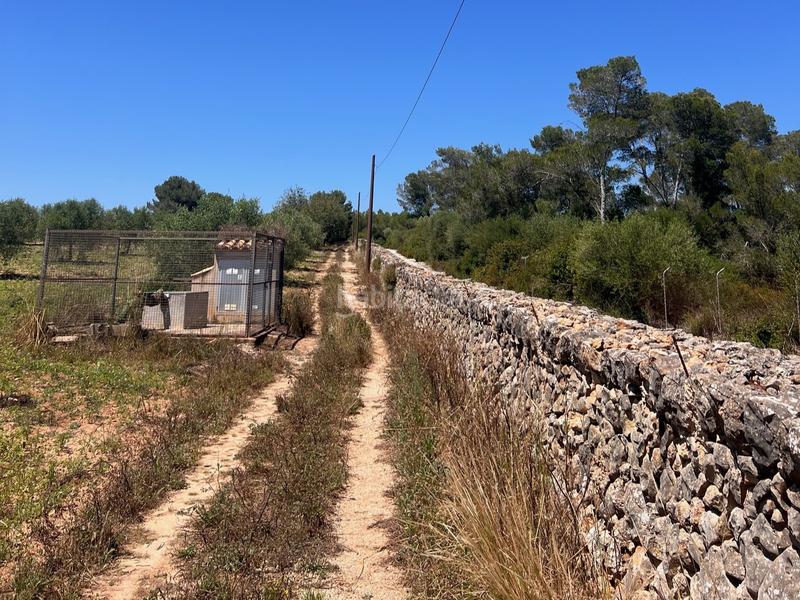 Foto f5954c39-da5d-4b0f-b438-160013ad63d9. Terreno residencial en Manacor centre Manacor