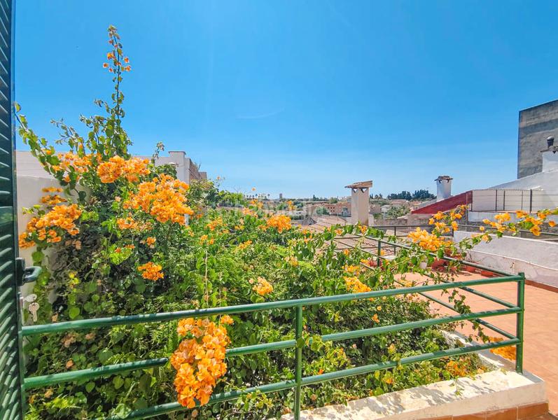 Foto c8e4b646-7069-4413-b450-ed9cb3200f63. Bauernhof in Santa Margalida poble Santa Margalida