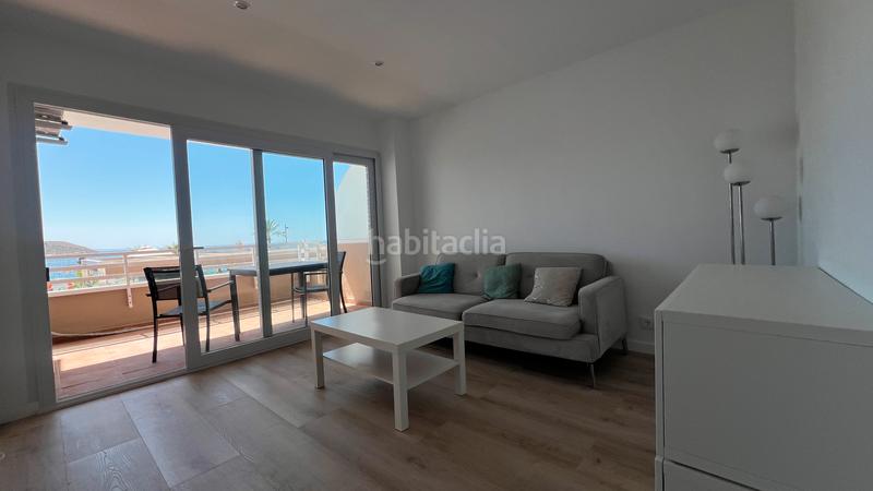 Foto 295a1990-4c67-4557-a125-3b9c3503ceb8. Alquiler apartamento en Magaluf Calvià