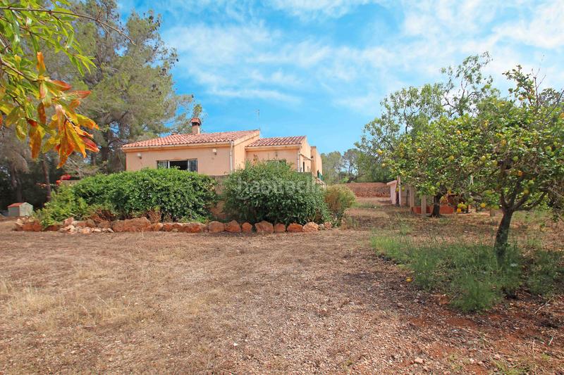 Foto 2d40282c-2dcc-4012-976c-e3deb94ba679. Terrain résidentiel dans Llucmajor interior Llucmajor