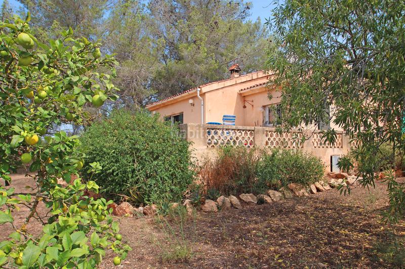 Foto bb1e50db-216f-4018-bb10-ecabad9b9f52. Terrain résidentiel dans Llucmajor interior Llucmajor