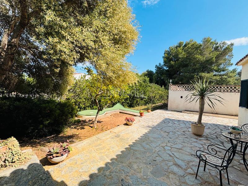 Foto db054d4e-4757-4319-8744-a306f4ef8c38. Haus in Cala Murada Manacor