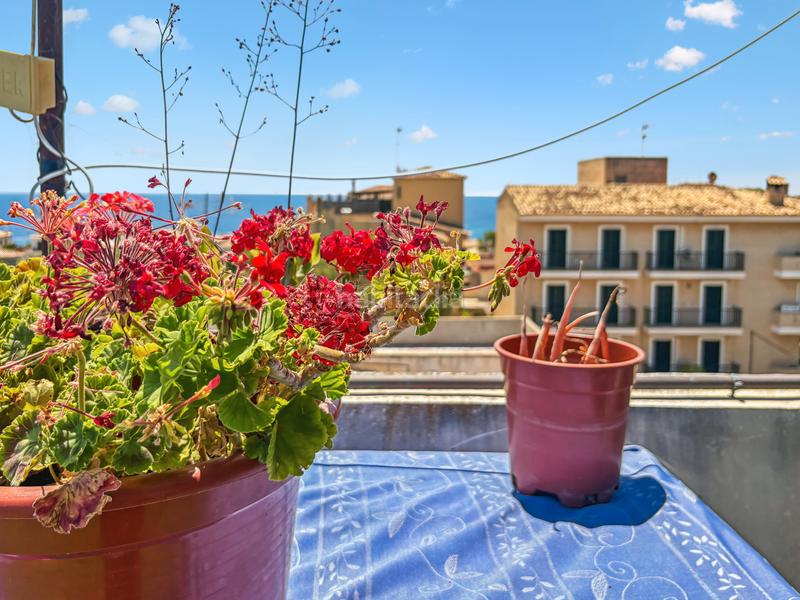 Foto e3d4bea4-9f0d-4469-895e-8d6ff2335e18. Attico in Porto Cristo Manacor