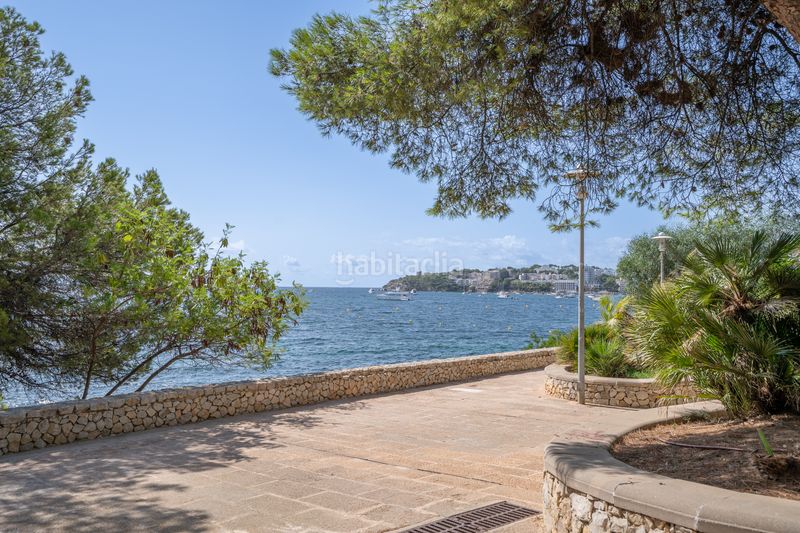 Foto 1ca74e05-7d98-4ff6-a782-fdefc9395351. Apartament amb aparcament a Palmanova Calvià