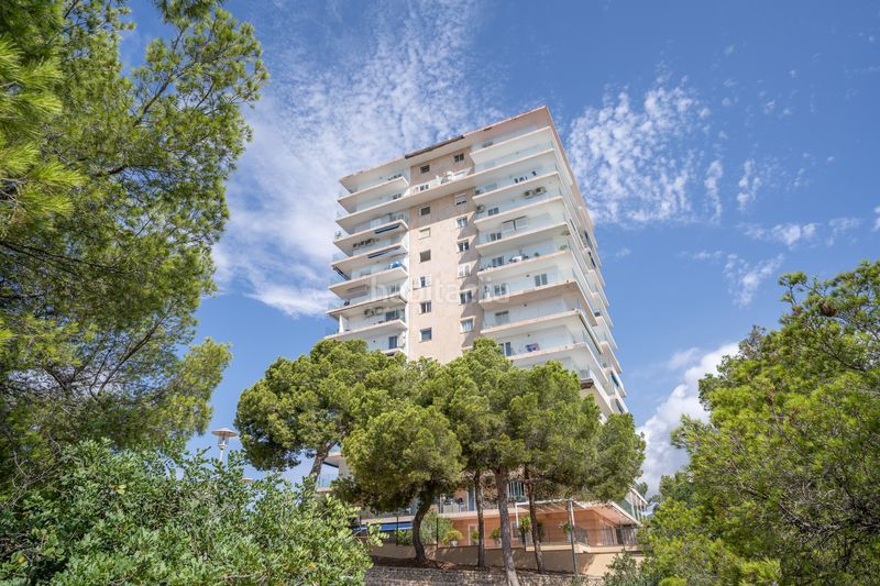 Foto 9499c62e-1a6c-4ff4-bbc3-bbd4b133d231. Apartament amb aparcament a Palmanova Calvià