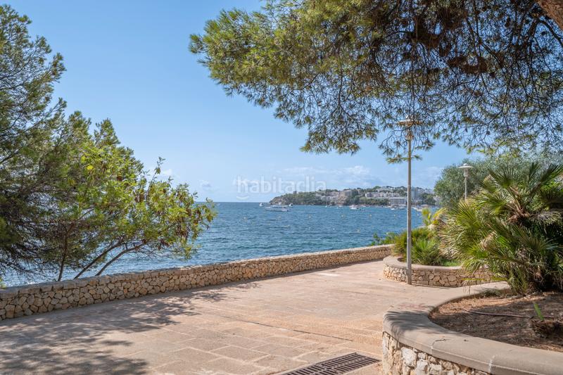 Foto 1ca74e05-7d98-4ff6-a782-fdefc9395351. Apartamento en Palmanova Calvià