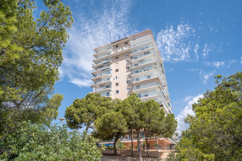 Foto 9499c62e-1a6c-4ff4-bbc3-bbd4b133d231. Apartamento en Palmanova Calvià