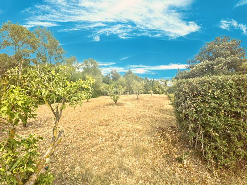 Foto f6693447-3890-4b92-b66d-1ff89f26c9de. Wohngrundstück in Port Nou - Port Verd - Port Vell Son Servera