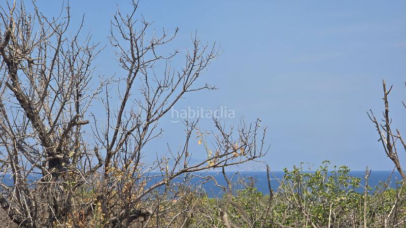 Foto 8b2f6de9-ffc5-4247-83f4-6110ae6e4b5c. Wohngrundstück in Colònia de Sant Pere Artà