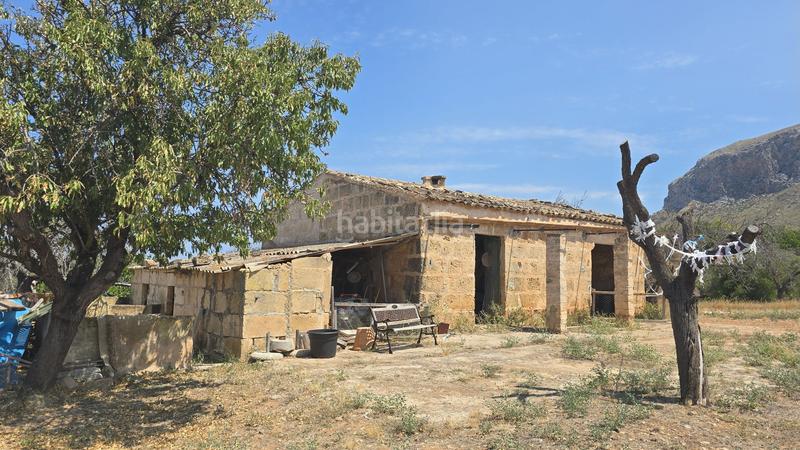 Foto 8d94101d-8075-48fb-a83c-189d62ca0cda. Wohngrundstück in Colònia de Sant Pere Artà
