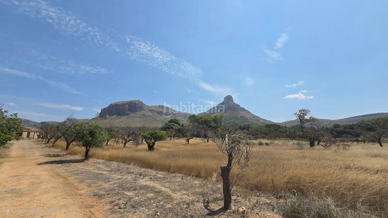 Foto b62b40fd-30c7-4f58-ae3d-77bb1c61892a. Wohngrundstück in Colònia de Sant Pere Artà