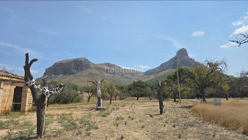 Foto b65b37aa-ba21-4d72-ab67-e7780a71b183. Wohngrundstück in Colònia de Sant Pere Artà