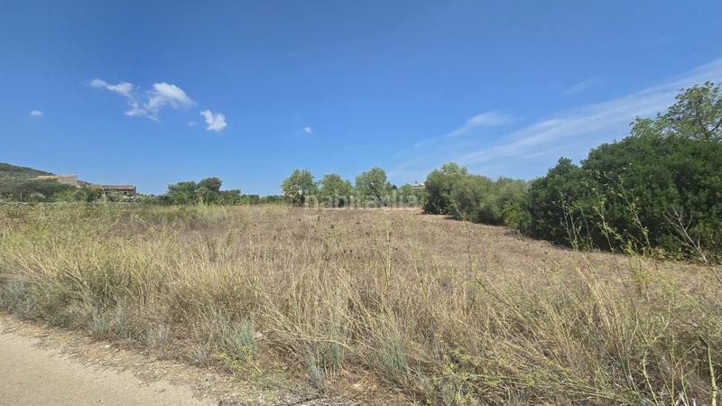 Foto bb8b1369-fe23-4788-ab96-02b148d1a02f. Wohngrundstück in Colònia de Sant Pere Artà