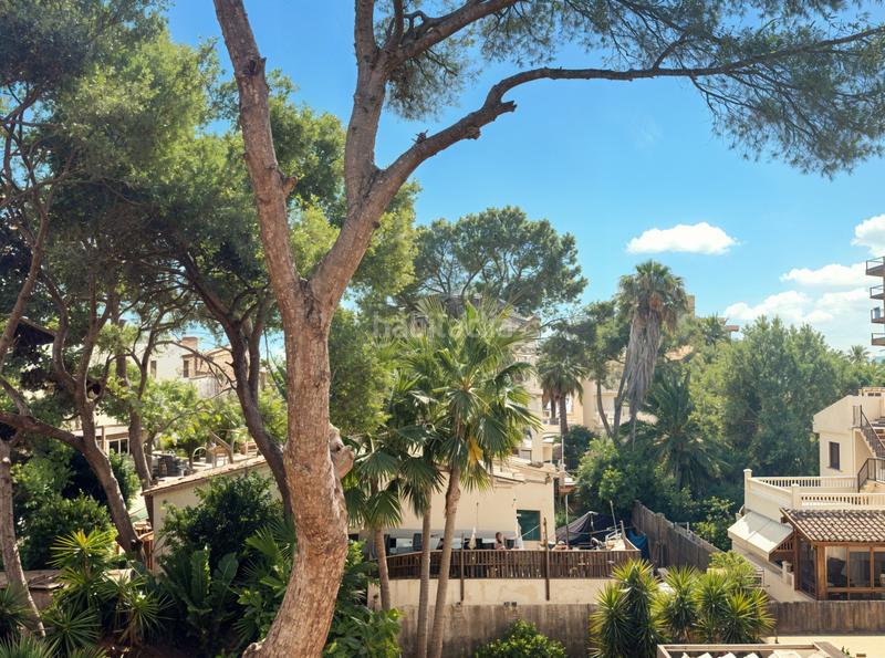 Foto 00380d17-fcf9-4961-8be9-35780acdc6e4. Casa in Les Maravelles Palma de Mallorca