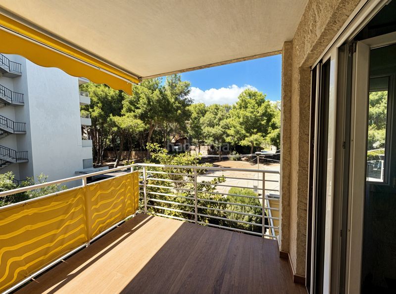 Foto 7bd9a9d1-3364-456e-9a66-88ed5fcf2c86. Apartament amb aparcament a Les Maravelles Palma de Mallorca