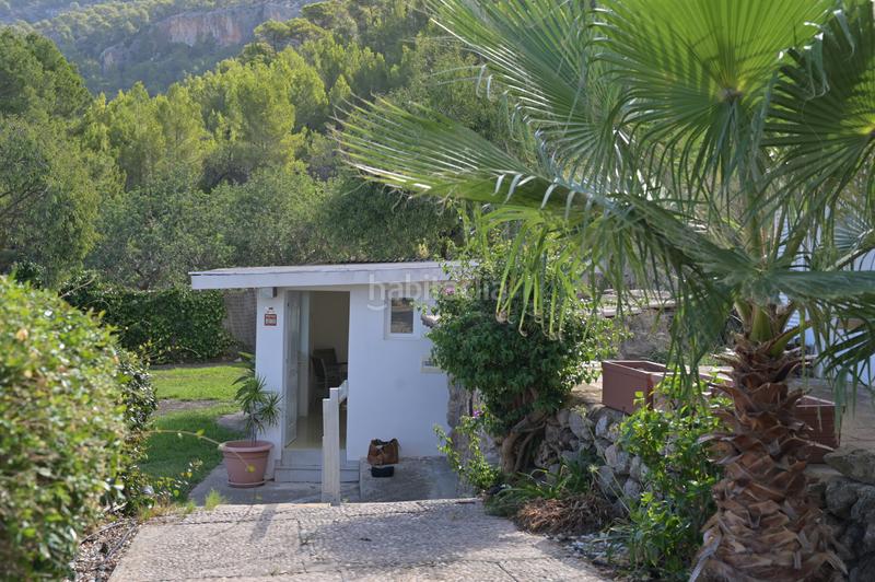 Foto a3266a68-3ef1-4ad2-958d-d7cc1e5c9130. Terreny residencial a Andratx Andratx