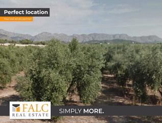 Terreny residencial a Ciutat d´Alcúdia
