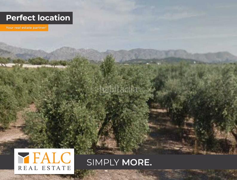Foto e0c17cd3-9ddd-4366-9237-a0a58aaffc2f. Terrain résidentiel dans ciutat d´Alcúdia Alcúdia