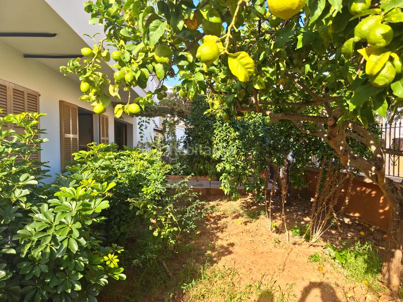 Foto 676fdf41-e978-4b4b-868e-918c20bcd358. House in Cala Millor Son Servera