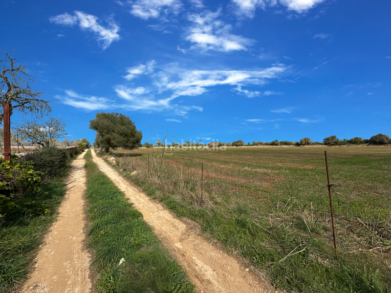 Foto f64e0cf3-4f81-4c89-9f79-92df1286356f. Terrain résidentiel dans Cala Figuera Santanyí
