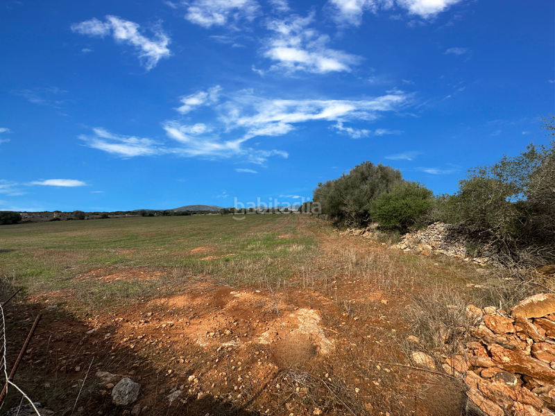 Foto fa2e3efd-057f-4e4f-b528-20dd90bdf360. Terrain résidentiel dans Cala Figuera Santanyí