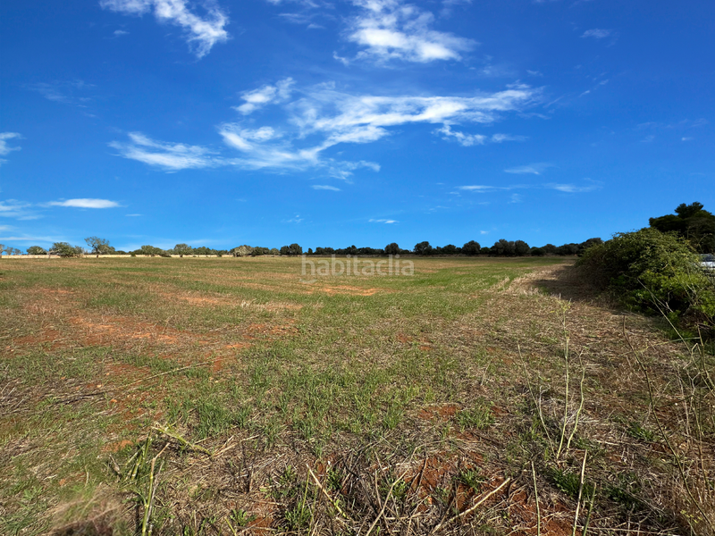 Foto 5972191b-52d4-4a55-9593-1315e6eb9803. Wohngrundstück in Cala Figuera Santanyí