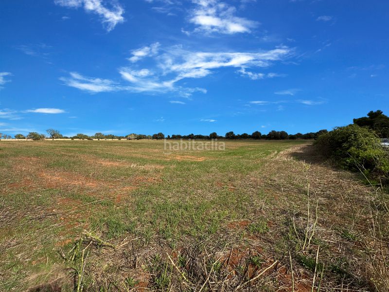 Foto 5972191b-52d4-4a55-9593-1315e6eb9803. Terreny residencial a Cala Figuera Santanyí