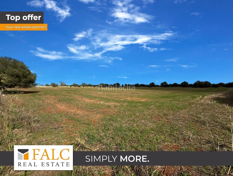 Foto 7be46d02-ac00-4c3d-86a9-99393a9ab8ef. Terreny residencial a Cala Figuera Santanyí