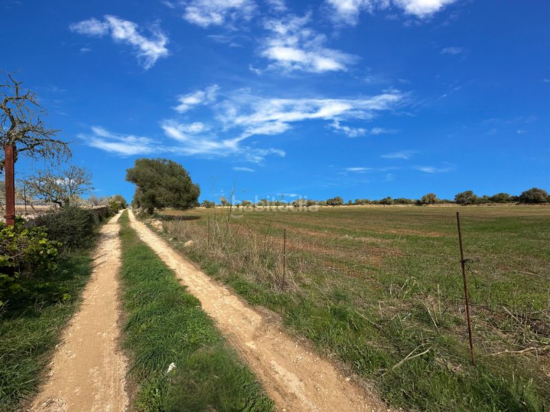 Foto f64e0cf3-4f81-4c89-9f79-92df1286356f. Terreny residencial a Cala Figuera Santanyí